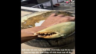 Nỗi Đau Không Của Riêng Ai | Review Cuộc Sống Và Con Người | Kênh Hài Hước TV
