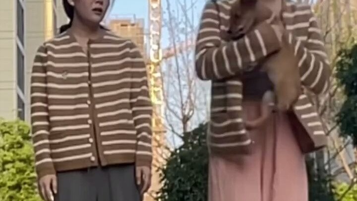Who often bullies dogs? This video makes it pretty obvious, doesn’t it?