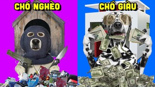 TỪ CHÓ HOANG ĐẾN CHÓ TỶ PHÚ CHỈ SAU 10 NĂM SẼ NTN !!! | Dog simulator ✔