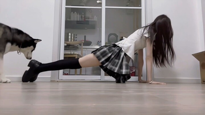 Anjing, minggir, biar aku yang urus!