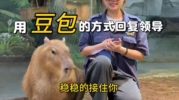 When I respond to my boss using the “doubao” method