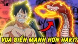 Vua Biển Có Mạnh Hơn Trái Ác Quỷ?! | Vua Biển Trong One Piece Đáng Sợ Tới Mức Nào?