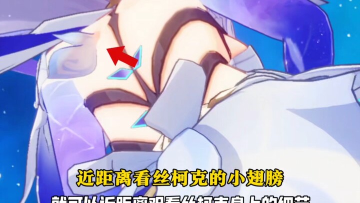 近距离看丝柯克的小翅膀