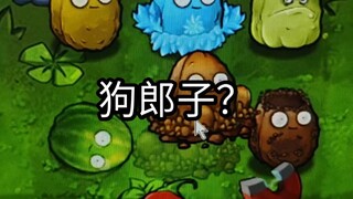 Gou Lang Zi Reappears