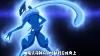 小智把竹兰绝招逼出，用波导之力链接忍蛙共同取胜