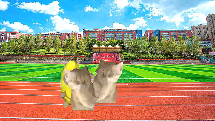 Chọn một trong hai lựa chọn để nhận được 5 triệu