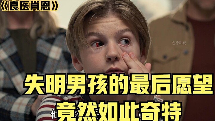 Good Doctor Sean: The Blind Boy’s Final Wish Is Surprisingly Unique