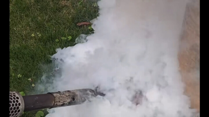 النمل الأحمر يتعرض لخدعة مروعة