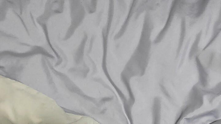 I just flopped onto the bed and landed right on the cat—hilarious, hahaha!