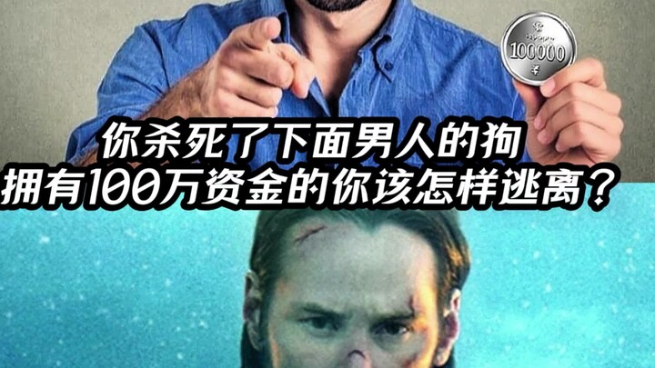 你惹到了一位爰狗人士💀