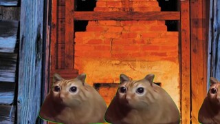 【Cat meme】Team building, but go to the escape room!