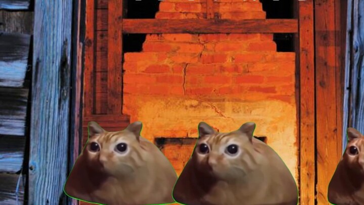 【Meme kucing】Membangun tim, tetapi pergilah ke ruang pelarian!