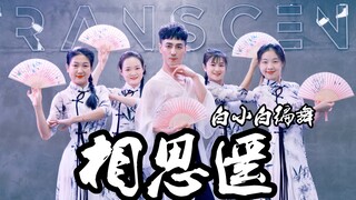 怎知春色如许❀唯美《相思遥》中国风折扇编舞