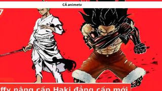 Luffy nâng cấp Haki đẳng cấp mới , Zoro cân 2 tên Samurai