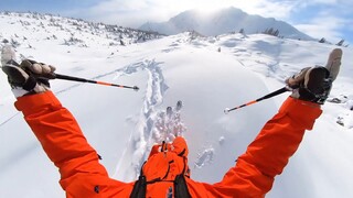 Anginnya penuh dengan aroma kebebasan.