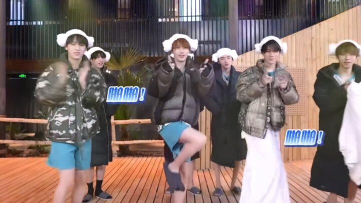 Đinh Thành Tân: Tôi vừa thấy các anh em nhảy múa trong kỳ thi mở sách, tôi liền học theo.