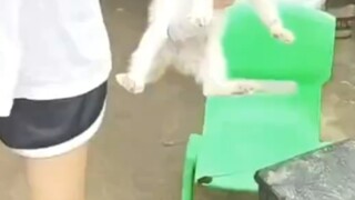 虽然不认识你，但是有种熟悉的感觉，兄弟你好香！
