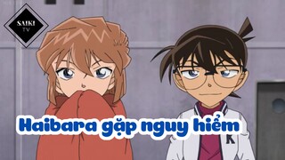 [Thám Tử Lừng Danh Conan] - Haibara gặp nguy hiểm - Tập 143
