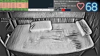 Sleep Stream 2.07.2025