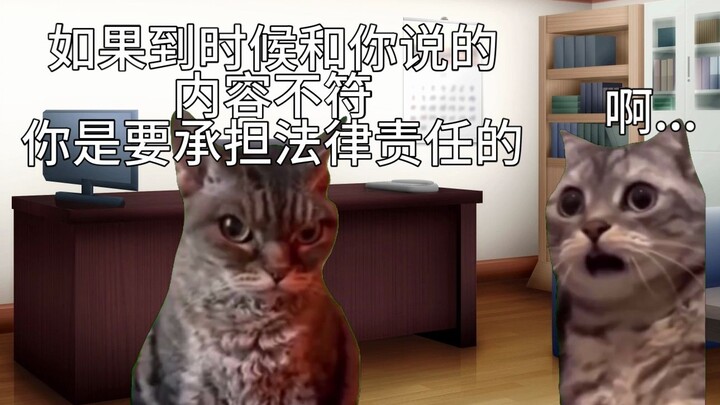 【猫meme】又一次在派出所翻译