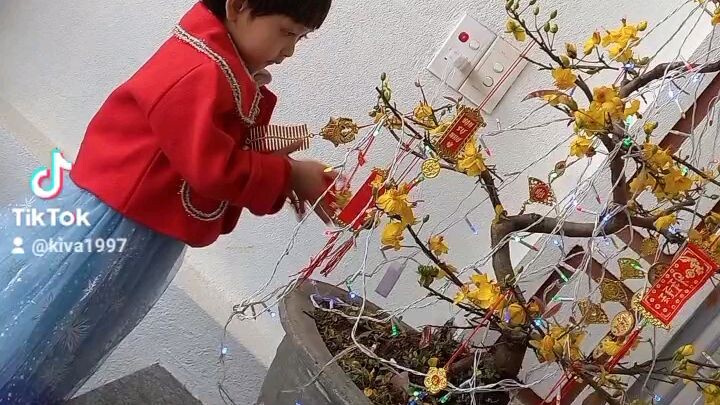 tết đến bên mai về