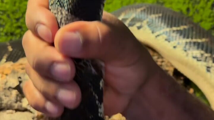 Very stress-relieving