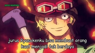 segini doang kekuatan dari jurus Ryusoken punya sabo ?!