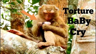 VERY BREAK HEART!!, BABY MONKEY CRY VERY SCARE KIDNAPPER TORTURING TOO HARD​