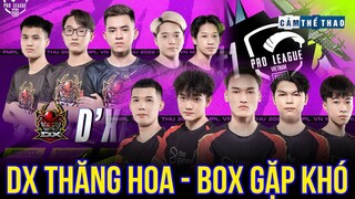 NHẬT BÁO ĐỒNG BO | D’XAVIER LÊN ĐỈNH - BOX GẶP KHÓ