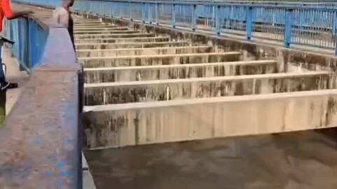 Cả hai bên đều có thực lực