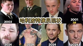 哈利波特演员 现状 二十年前后对比