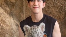 Ang cute ng tiger 😂😂❤️❤️