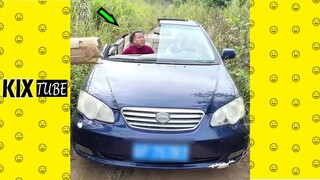 Coi cứ cười P816 ● Những khoảnh khắc hài hước 2022
