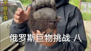 吃熊掌能上天吗