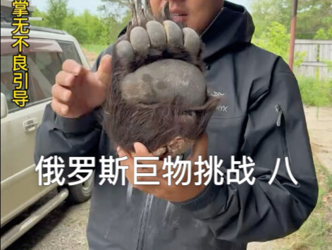 吃熊掌能上天吗