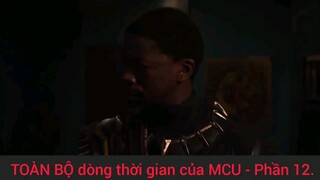 toàn bộ dòng thời gian của mcu #12