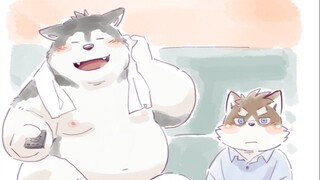 福太大和康辅【第三期】