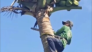 Speed Bumps!! Skilled Worker Series~