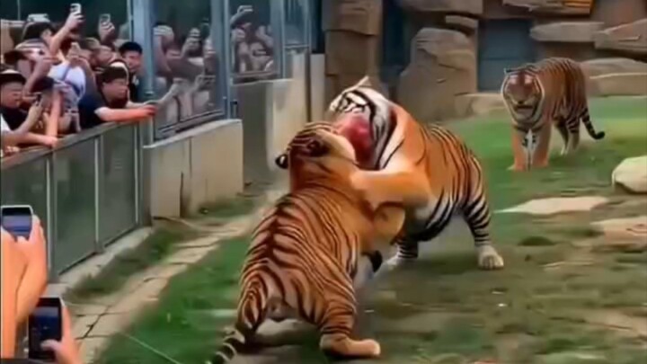 funny video funny short #funny #funnyvideo