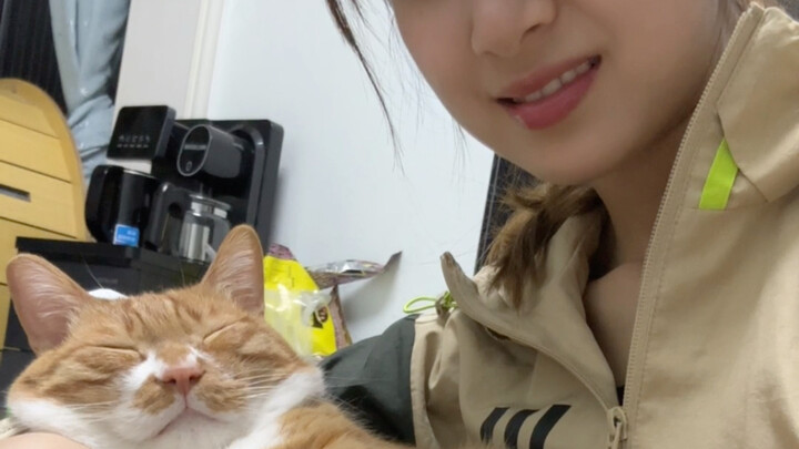 Kebahagiaanku Diberikan oleh Si Kucing Kecil