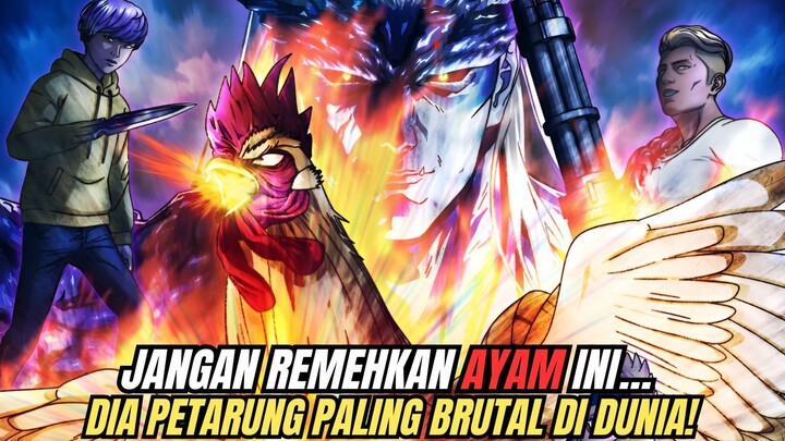 KETIKA AYAM MENJADI PAHLAWAN—ROOSTER FIGHTER, ANIME PALING GILA DAN KEREN!