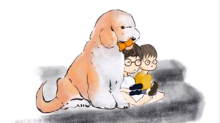 Dogs are also afraid of humans