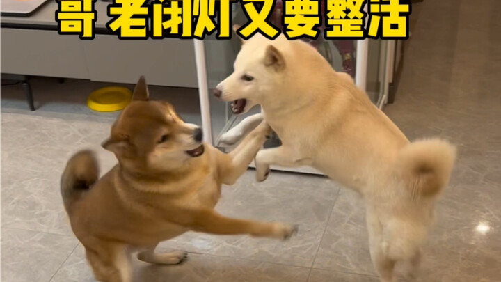 ลูกชายตัวโตของแม่ (นี่เรียกว่าแม่! แท้! )