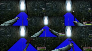 [The Road to Survival Knowledge Points] What you should know about the tongue