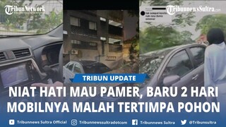 APES Wanita Pamer Mobil Baru, Baru 2 Hari Mobilnya Malah Tertimpa Pohon Besar di Depan Rumah Sendiri