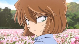 [นักสืบโคนัน] ไล่ตามไฮบาระบนชานชาลาและหลบหนีการซักถามของรันบนชินคันเซ็น