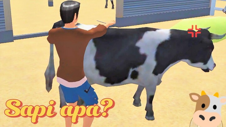 Gimana Udah pada kenyang Makan Daging belum??
