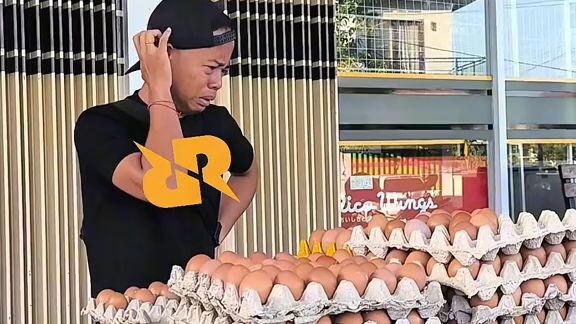 panen telur dulu