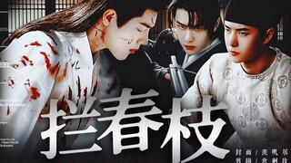 【博肖】“ 拦春枝 ” 第五集 【百里弘毅×时影×谢允】饺子文学 三观不正 甜虐