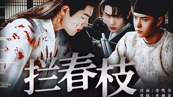 【博肖】“ 拦春枝 ” 第五集 【百里弘毅×时影×谢允】饺子文学 三观不正 甜虐